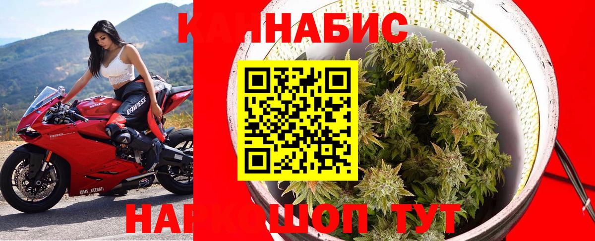 Марихуана планчик  Вход с VPN  Жуковский  Каннабис планчик  Канабис Amnesia 